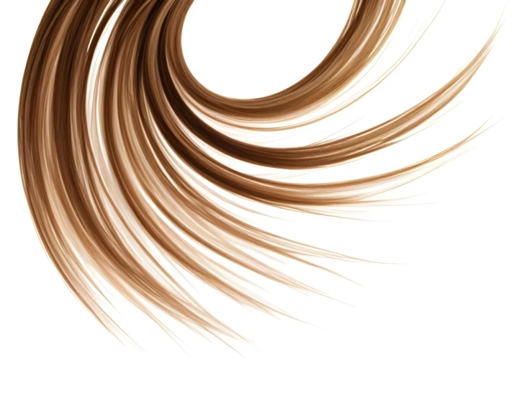 Brown And Blonde Hair Strands Forming A Swirl Pattern Isolated On A White Background Studio Lighting Hair Salon Concept Elegant And Minimalist Composition 17 Cac2