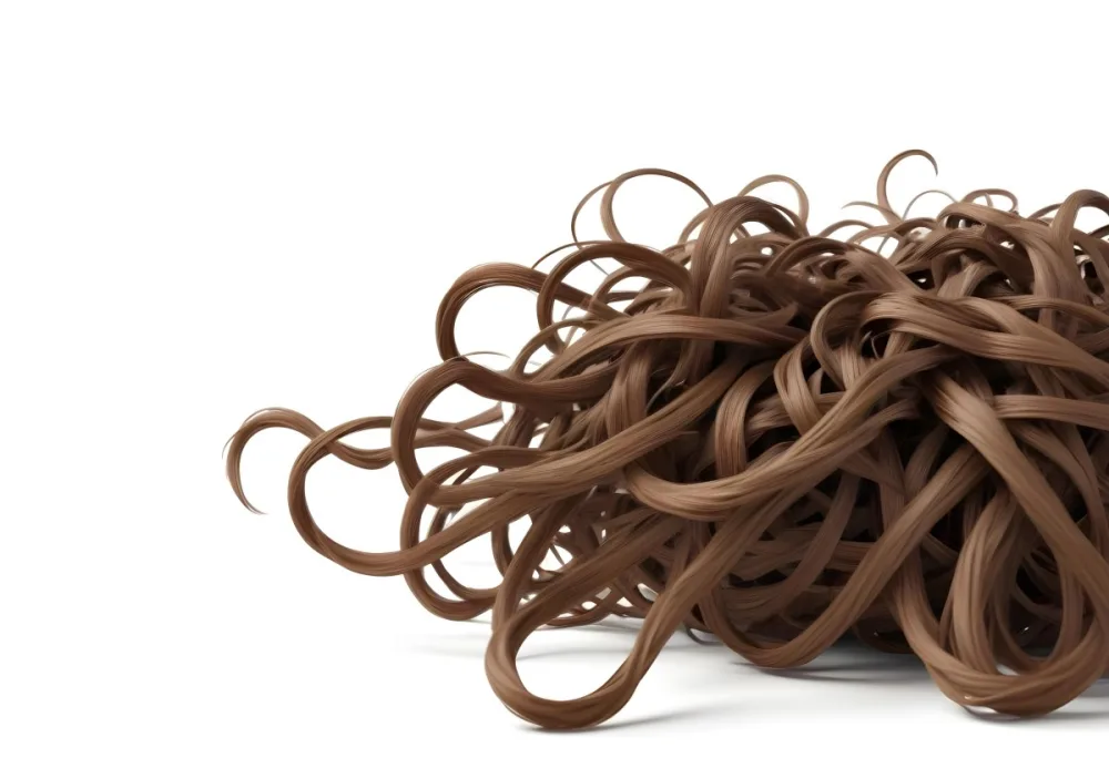Brown Messy Hair Strands Light Brown And Dark Brown Tones Messy And Tangled Isolated On A White Background Studio Shot High Resolution 11 93e4