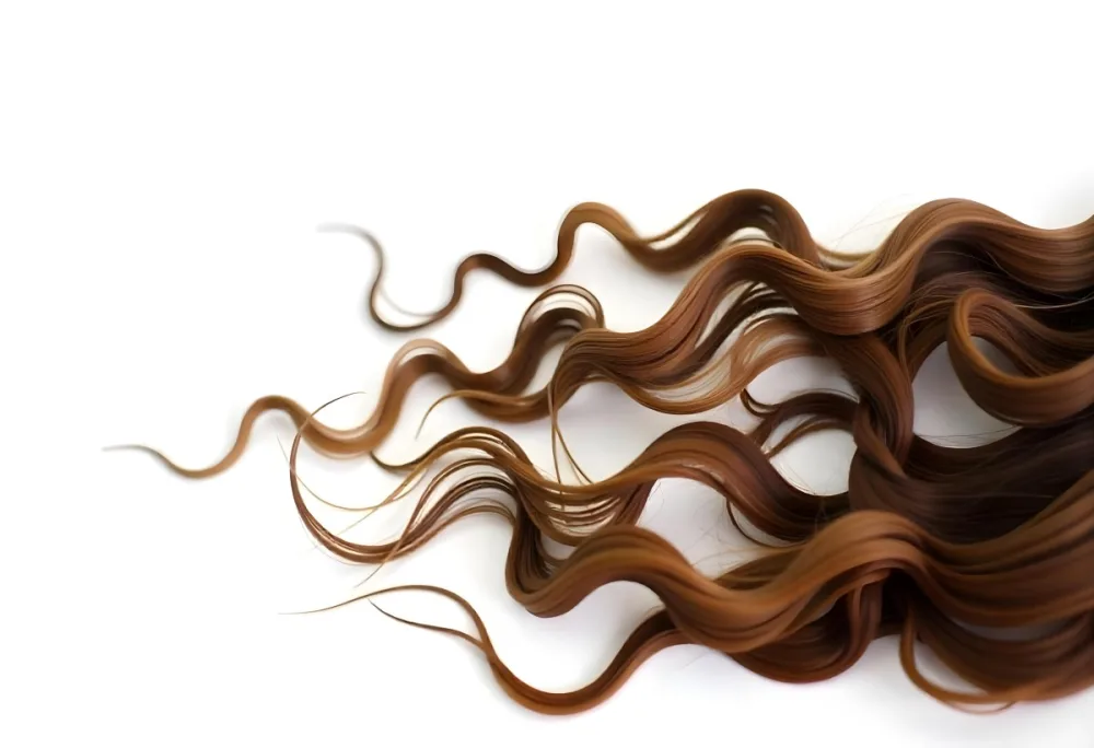Brown Messy Hair Strands Light Brown And Dark Brown Tones Messy And Tangled Isolated On A White Background Studio Shot High Resolution 25 8e19