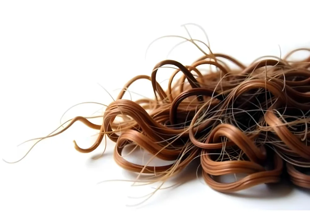 Brown Messy Hair Strands Light Brown And Dark Brown Tones Messy And Tangled Isolated On A White Background Studio Shot High Resolution 27 1a96