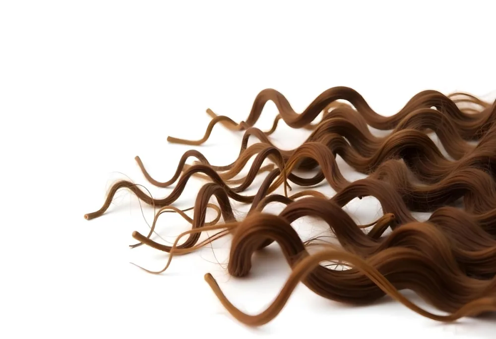 Brown Messy Hair Strands Light Brown And Dark Brown Tones Messy And Tangled Isolated On A White Background Studio Shot High Resolution 37 C3ea