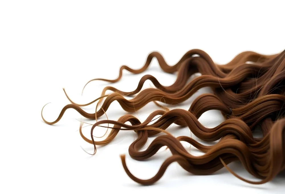 Brown Messy Hair Strands Light Brown And Dark Brown Tones Messy And Tangled Isolated On A White Background Studio Shot High Resolution 40 0360