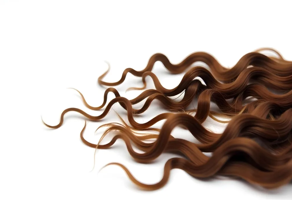 Brown Messy Hair Strands Light Brown And Dark Brown Tones Messy And Tangled Isolated On A White Background Studio Shot High Resolution 43 825a