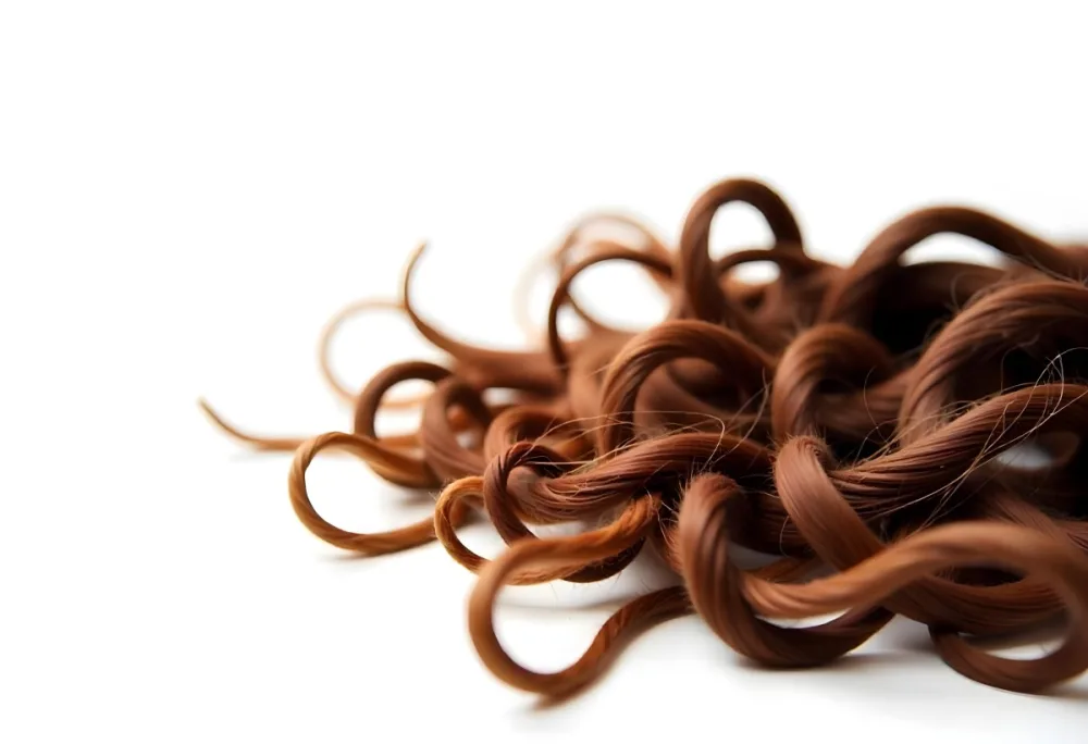 Brown Messy Hair Strands Light Brown And Dark Brown Tones Messy And Tangled Isolated On A White Background Studio Shot High Resolution 44 9dee