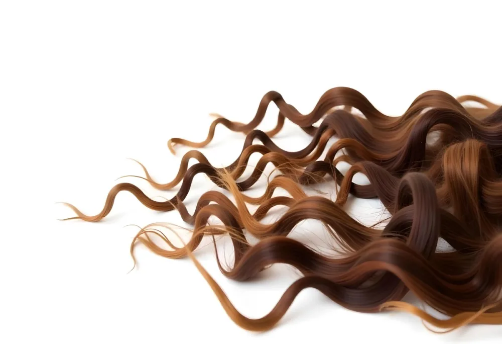 Brown Messy Hair Strands Light Brown And Dark Brown Tones Messy And Tangled Isolated On A White Background Studio Shot High Resolution 47 8829