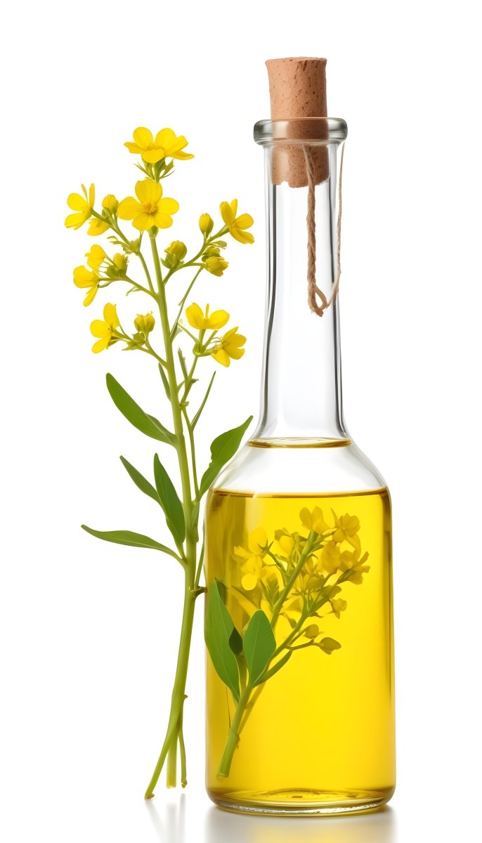 Rapeseed Oil In A Glass Bottle With A Thin Neck Tied With A String Next To A Rapeseed Flower On A White Background 7 A304