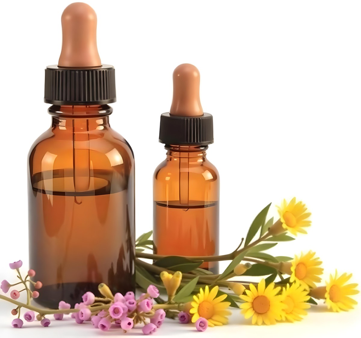 Two Glass Bottles Of Essential Oil With Flowers And Leaves In The Background Set In A Bright Sunny Day With Soft Natural Light 36 309b