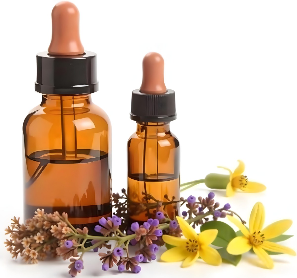Two Glass Bottles Of Essential Oil With Flowers And Leaves In The Background Set In A Bright Sunny Day With Soft Natural Light 41 1506
