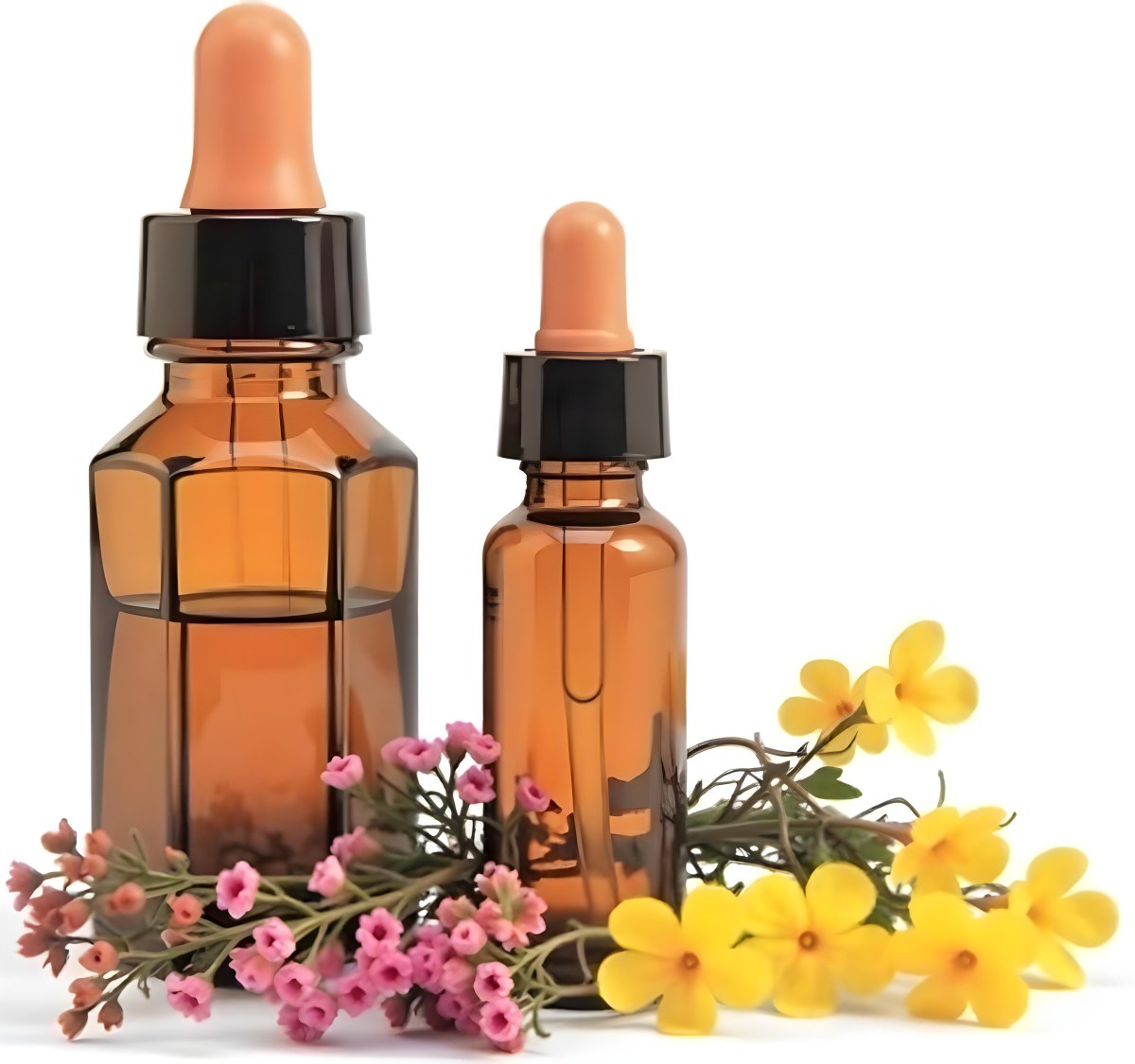 Two Glass Bottles Of Essential Oil With Flowers And Leaves In The Background Set In A Bright Sunny Day With Soft Natural Light 6 E792