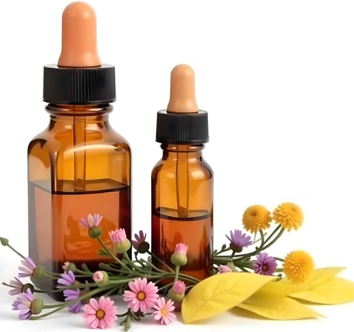 Two Glass Bottles Of Essential Oil With Flowers And Leaves In The Background Set In A Bright Sunny Day With Soft Natural Light 7 2435