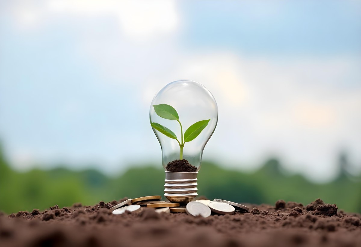 A Light Bulb With A Plant Growing Inside On Top Of A Pile Of Coins On A Mound Of Dirt With A Blurred Background Of Trees And Sky 14 6d29