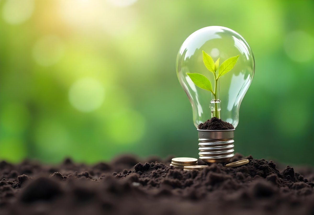 A Light Bulb With A Plant Growing Inside On Top Of A Pile Of Coins On A Mound Of Dirt With A Blurred Background Of Trees And Sky 18 4bee