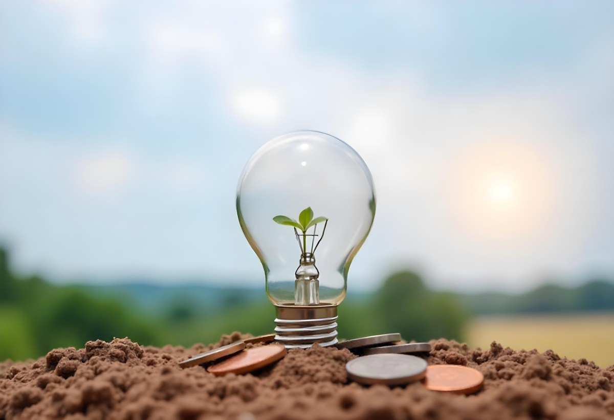 A Light Bulb With A Plant Growing Inside On Top Of A Pile Of Coins On A Mound Of Dirt With A Blurred Background Of Trees And Sky 23 E721