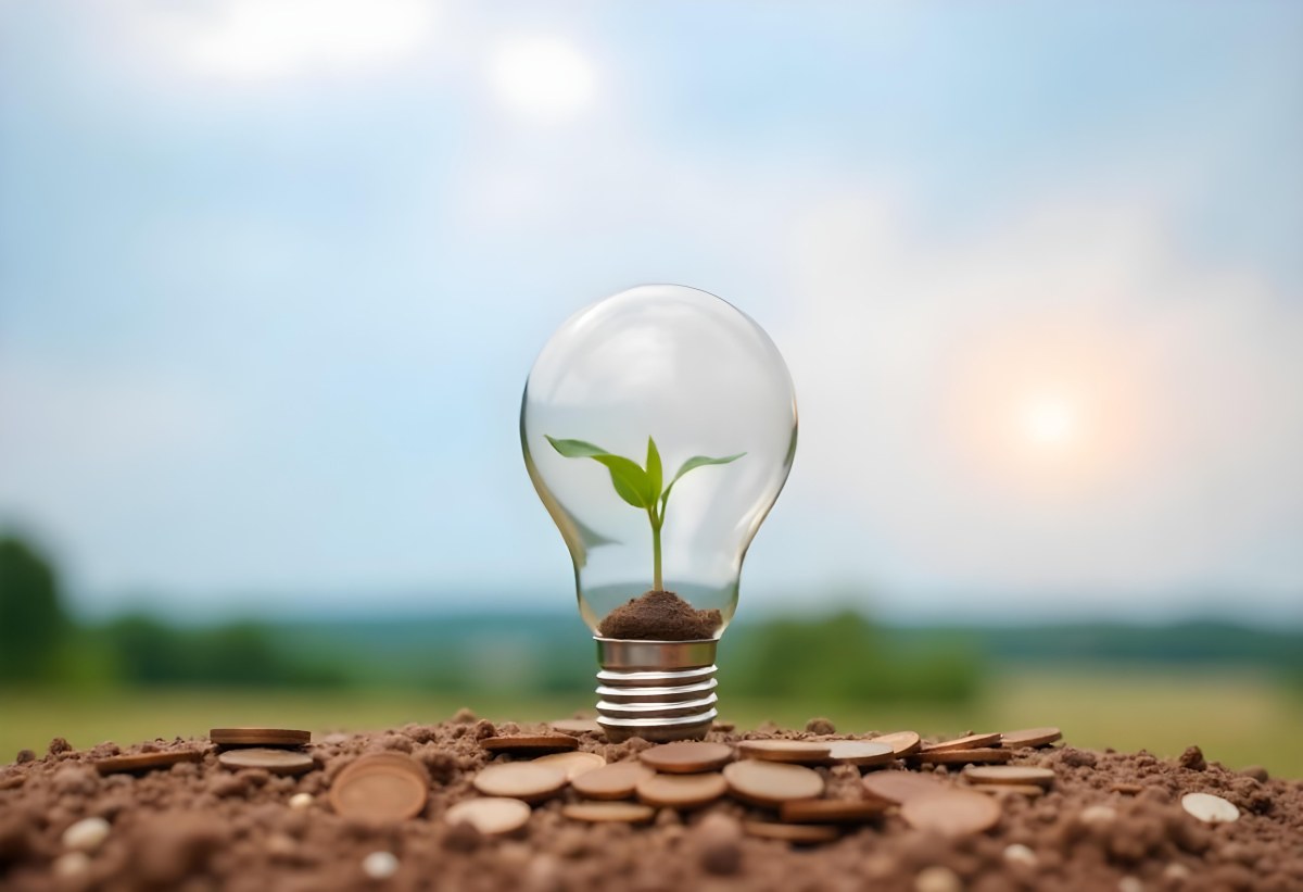 A Light Bulb With A Plant Growing Inside On Top Of A Pile Of Coins On A Mound Of Dirt With A Blurred Background Of Trees And Sky 27 Af03
