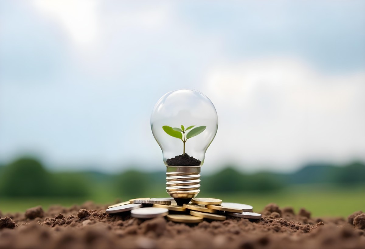 A Light Bulb With A Plant Growing Inside On Top Of A Pile Of Coins On A Mound Of Dirt With A Blurred Background Of Trees And Sky 31 Ff20