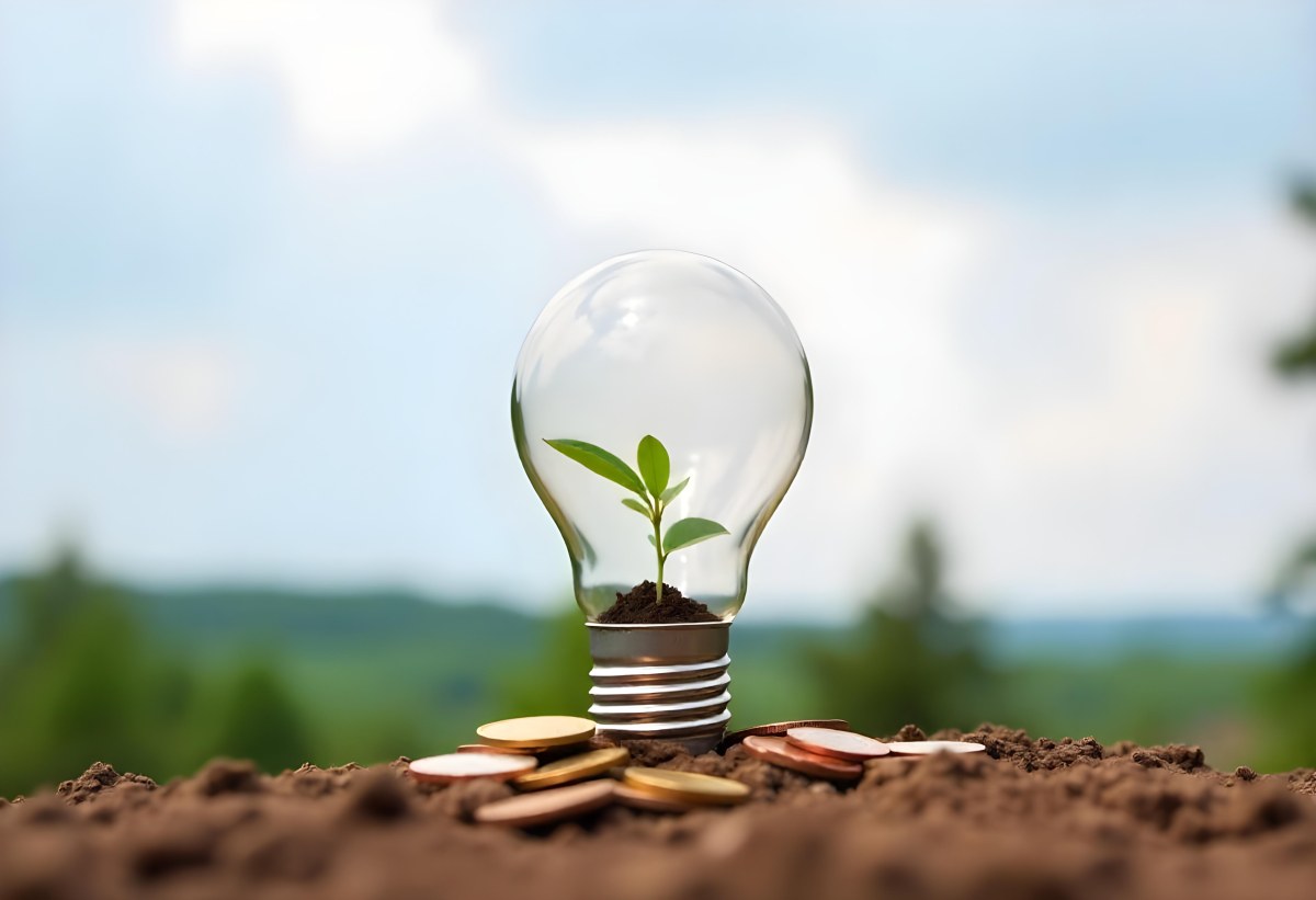 A Light Bulb With A Plant Growing Inside On Top Of A Pile Of Coins On A Mound Of Dirt With A Blurred Background Of Trees And Sky 36 16ca