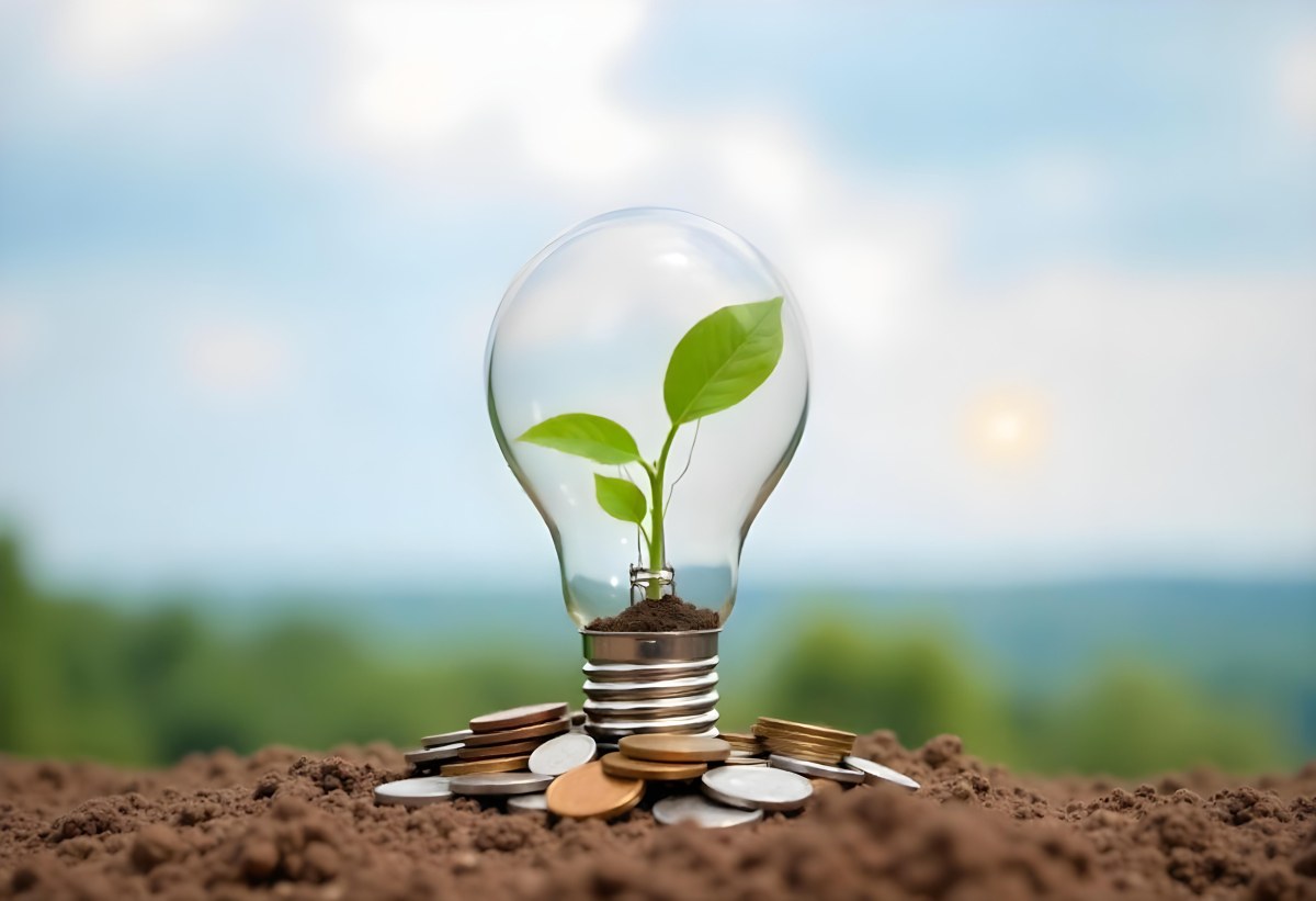 A Light Bulb With A Plant Growing Inside On Top Of A Pile Of Coins On A Mound Of Dirt With A Blurred Background Of Trees And Sky 39 45dc