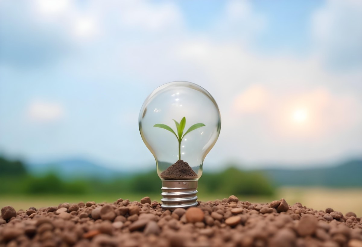 A Light Bulb With A Plant Growing Inside On Top Of A Pile Of Coins On A Mound Of Dirt With A Blurred Background Of Trees And Sky 4 4c24