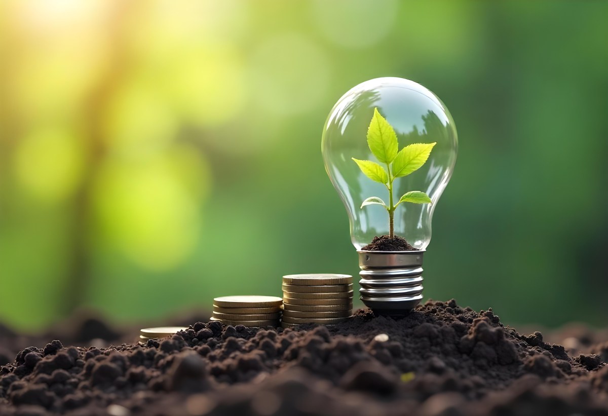 A Light Bulb With A Plant Growing Inside On Top Of A Pile Of Coins On A Mound Of Dirt With A Blurred Background Of Trees And Sky 42 B223
