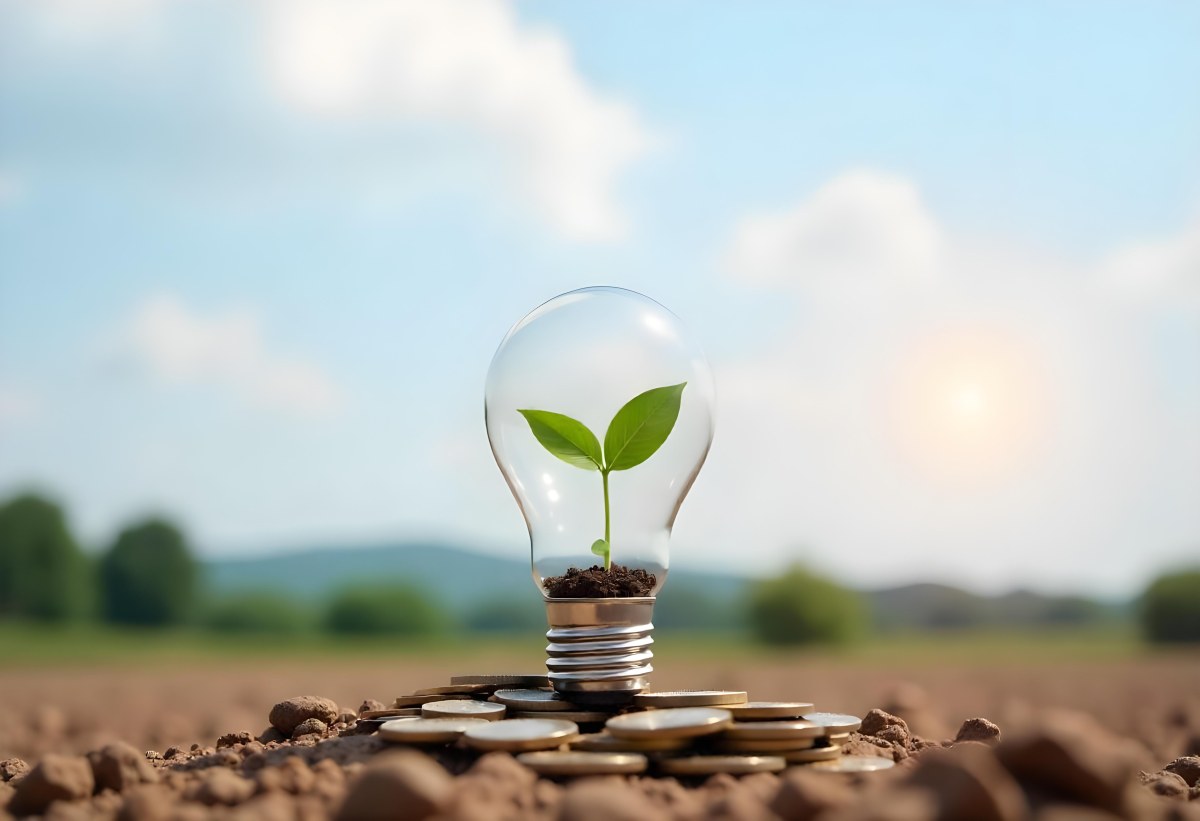 A Light Bulb With A Plant Growing Inside On Top Of A Pile Of Coins On A Mound Of Dirt With A Blurred Background Of Trees And Sky 43 983c