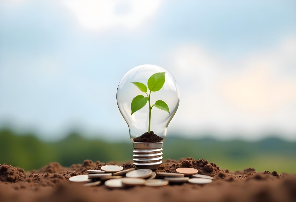 A Light Bulb With A Plant Growing Inside On Top Of A Pile Of Coins On A Mound Of Dirt With A Blurred Background Of Trees And Sky 44 B813