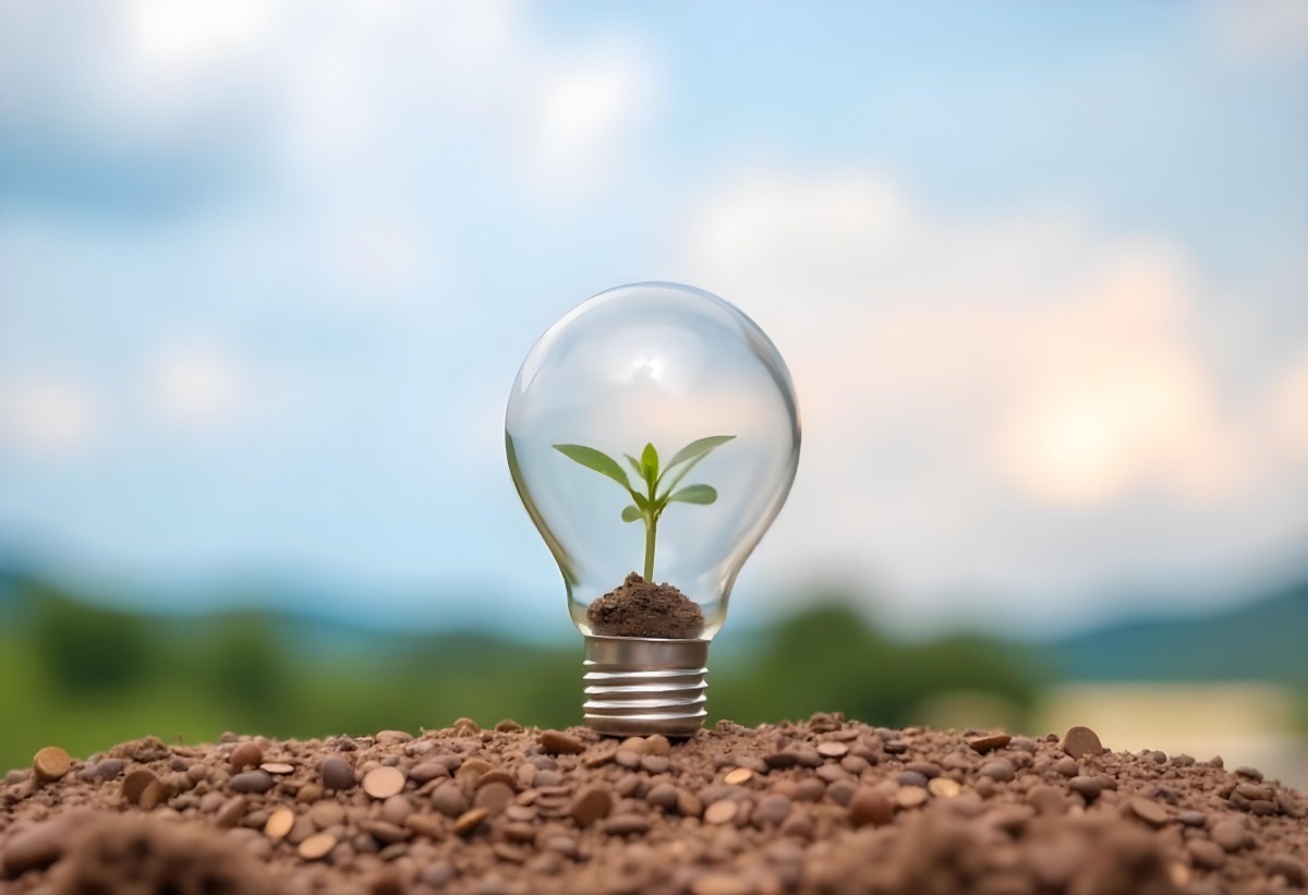 A Light Bulb With A Plant Growing Inside On Top Of A Pile Of Coins On A Mound Of Dirt With A Blurred Background Of Trees And Sky 5 5dec