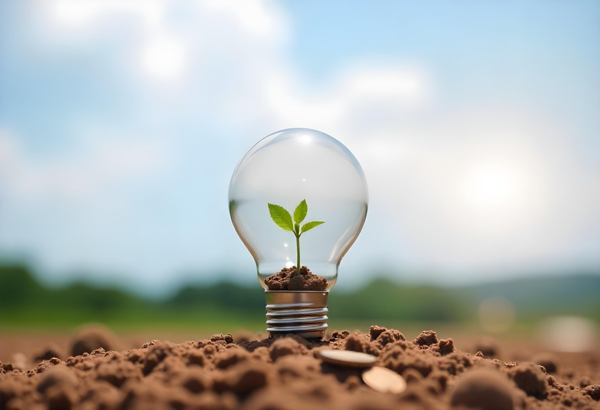 A Light Bulb With A Plant Growing Inside On Top Of A Pile Of Coins On A Mound Of Dirt With A Blurred Background Of Trees And Sky 7 80f1