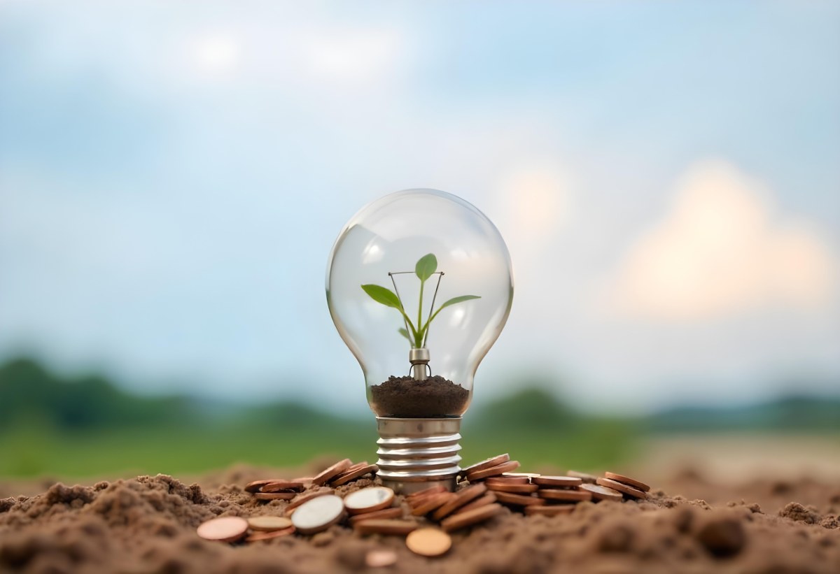 A Light Bulb With A Plant Growing Inside On Top Of A Pile Of Coins On A Mound Of Dirt With A Blurred Background Of Trees And Sky 8 Fddf