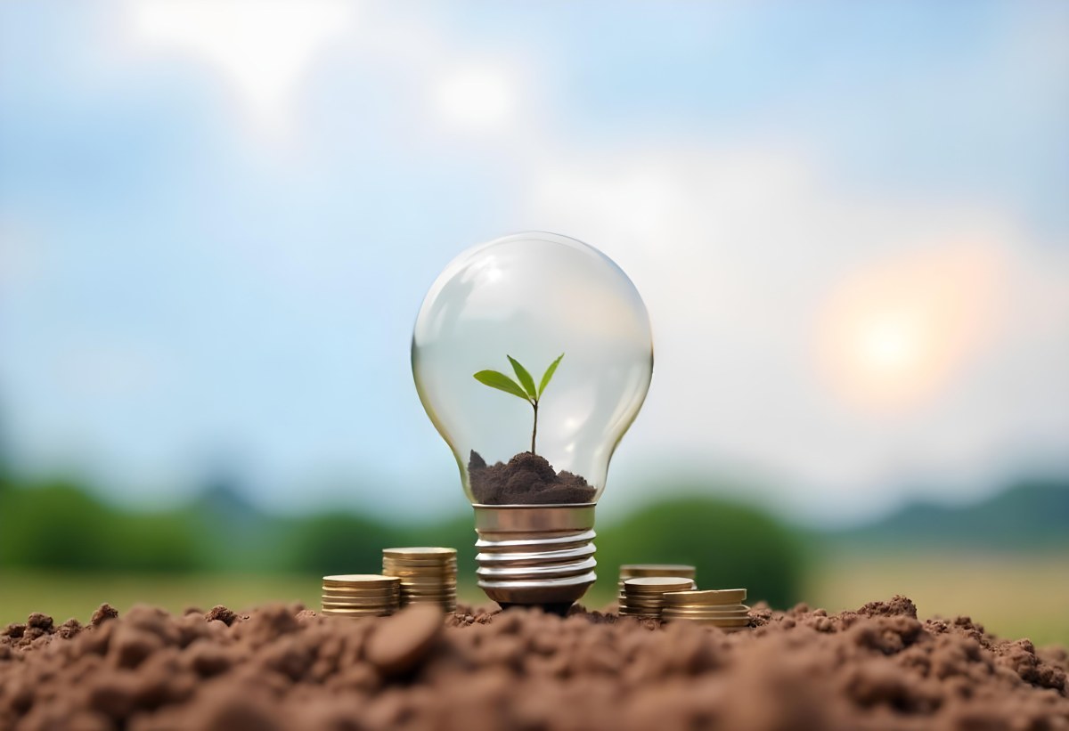 A Light Bulb With A Plant Growing Inside On Top Of A Pile Of Coins On A Mound Of Dirt With A Blurred Background Of Trees And Sky 9 2736