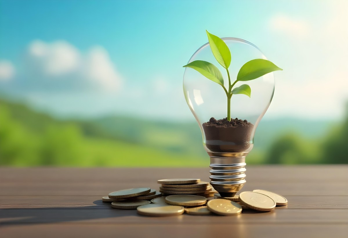 A Light Bulb With A Plant Growing Inside The Bulb Is On Top Of A Pile Of Coins The Background Is A Blurred Landscape With A Blue Sky 8 8b5e