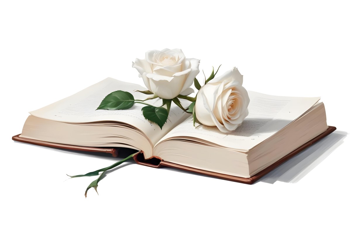 An Open Book With A White Rose On Top White Background 5 5d74