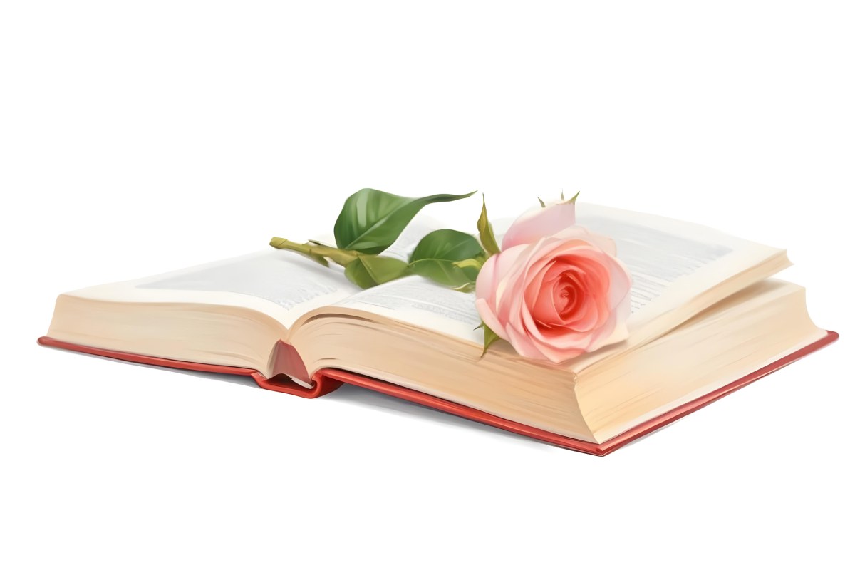 An Open Book With A White Rose On Top White Background 8 E93d