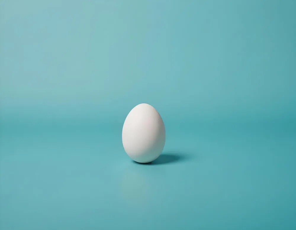 A Single White Egg On A Teal Blue Background 1 D68b