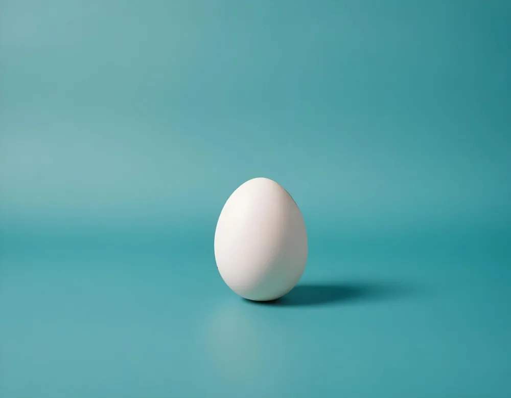A Single White Egg On A Teal Blue Background 10 48cd