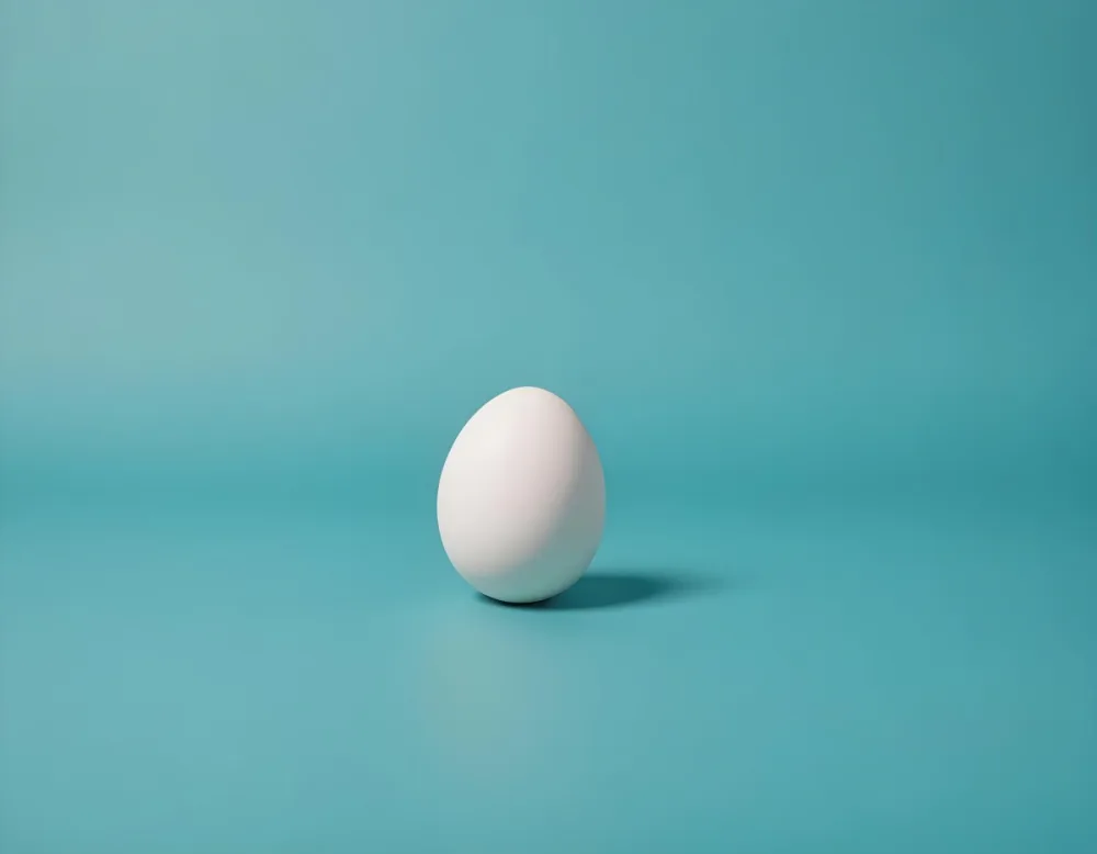A Single White Egg On A Teal Blue Background 11 2ef3