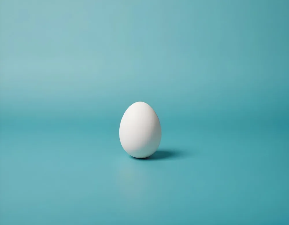 A Single White Egg On A Teal Blue Background 16 9448
