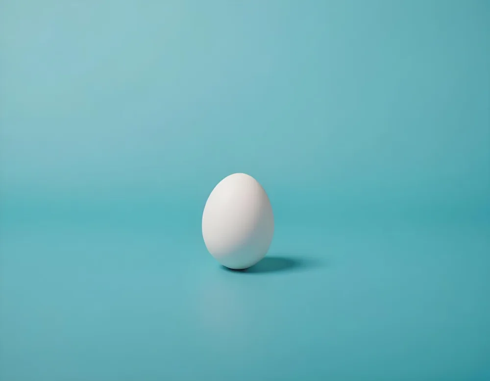 A Single White Egg On A Teal Blue Background 19 9799