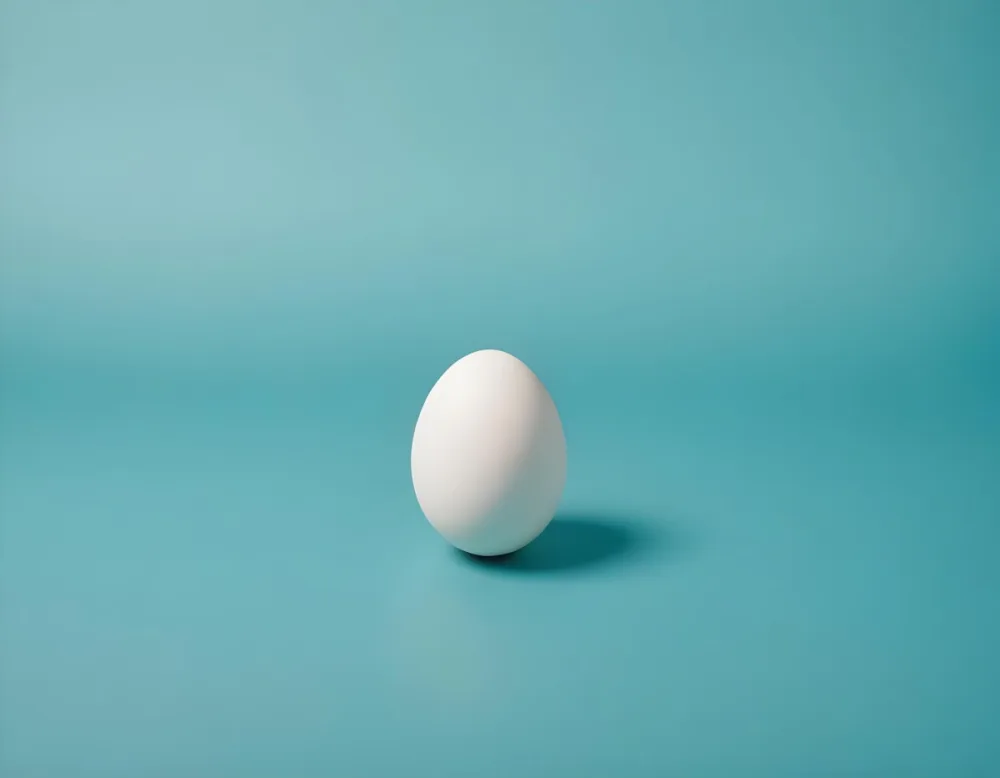 A Single White Egg On A Teal Blue Background 2 4eb2