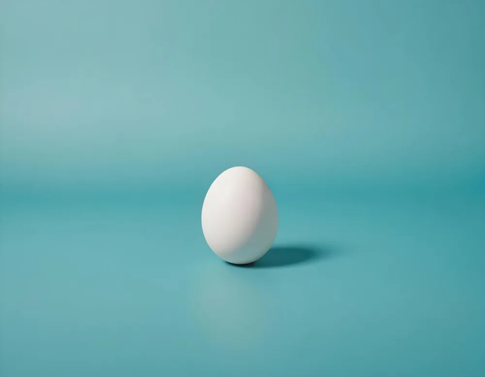 A Single White Egg On A Teal Blue Background 21 2429