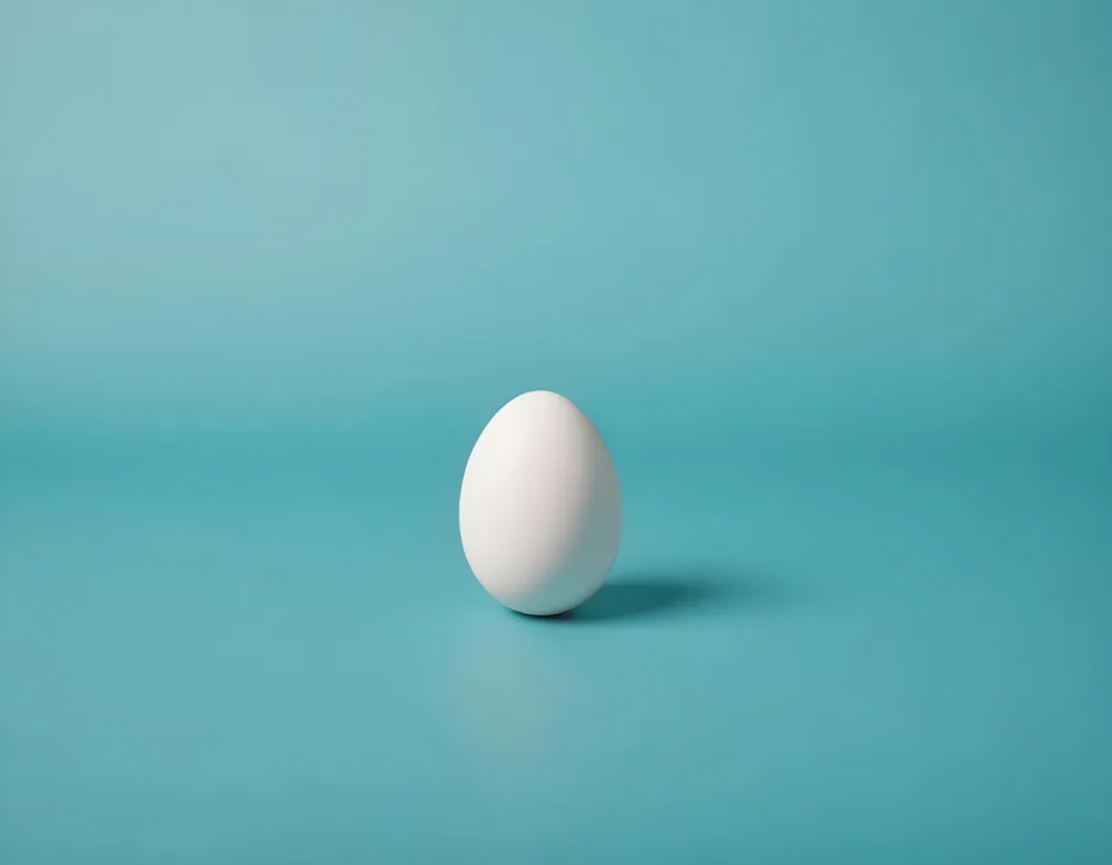 A Single White Egg On A Teal Blue Background 22 57f4