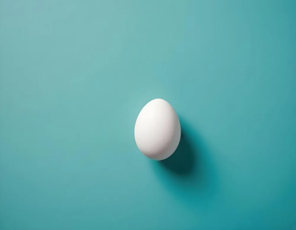 A Single White Egg On A Teal Blue Background 6 Fe9d