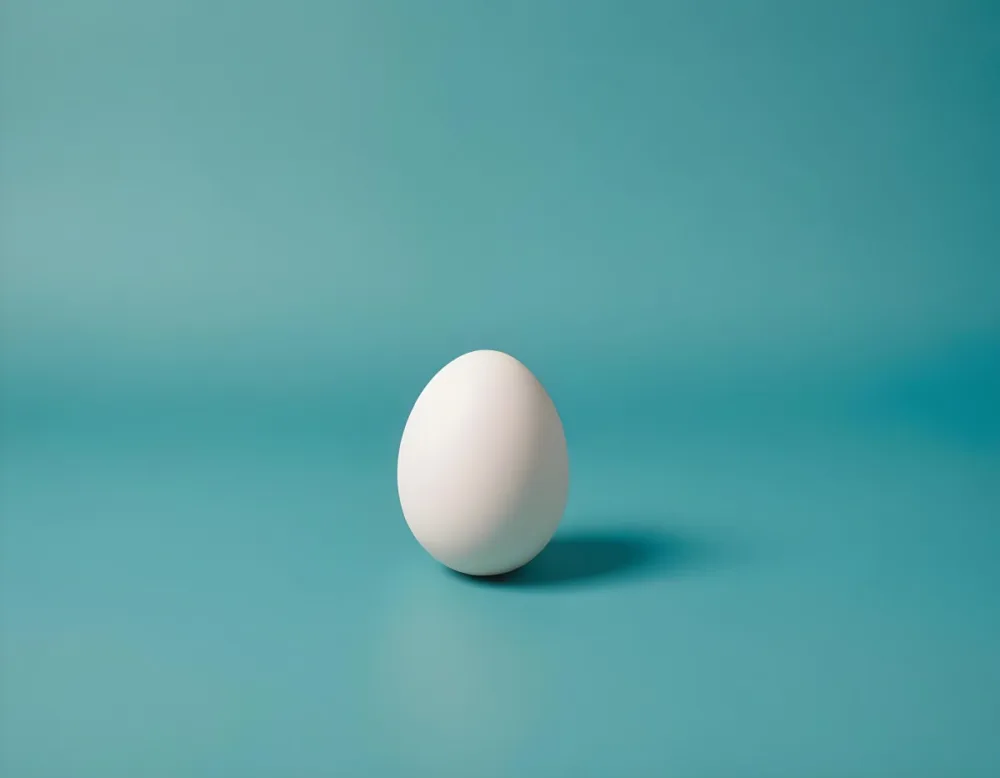 A Single White Egg On A Teal Blue Background 7 18e3