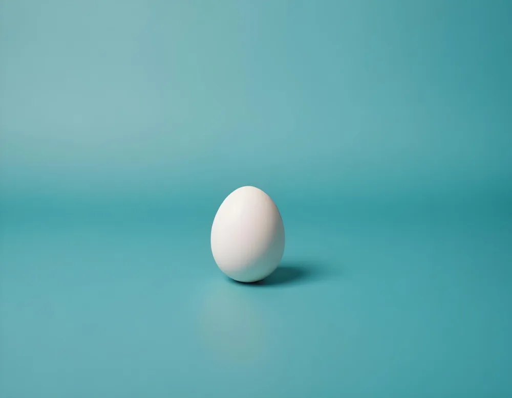 A Single White Egg On A Teal Blue Background 9 A6fc