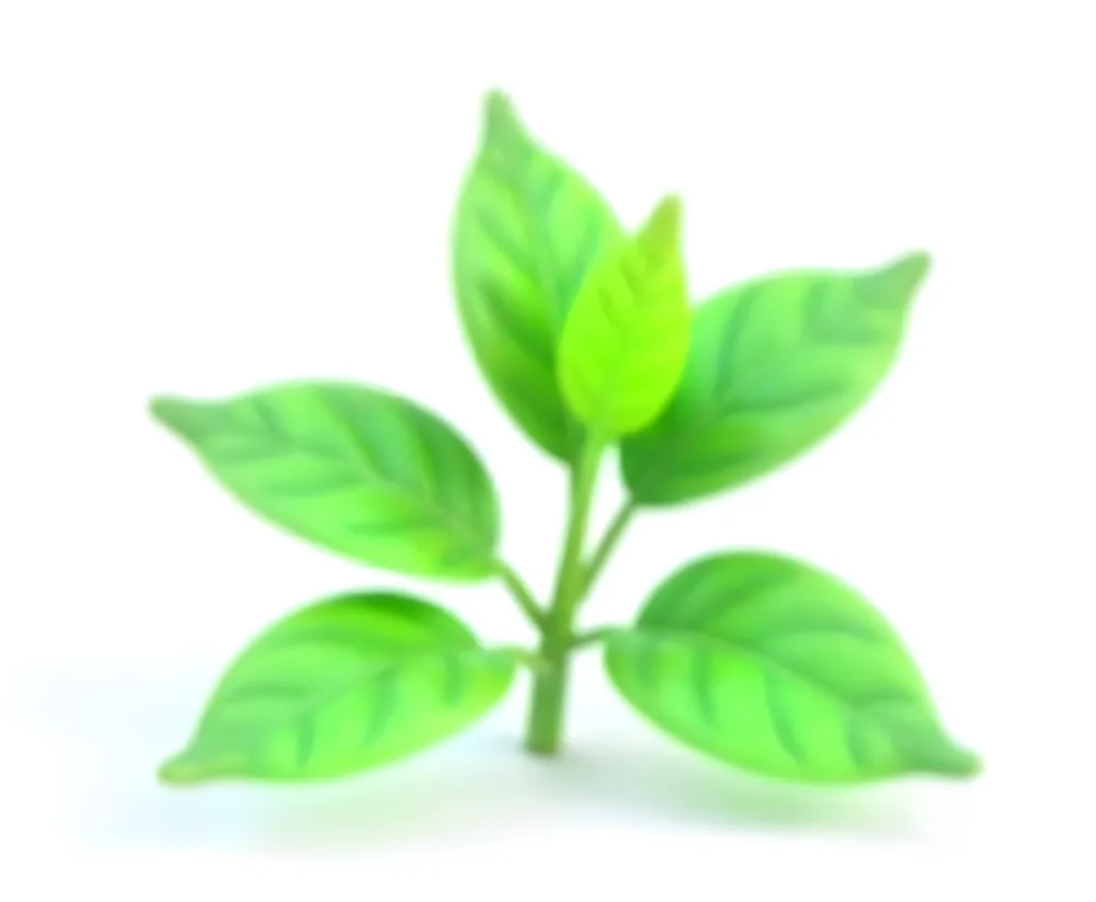 Green Tea Leaves With A Stem Isolated On A White Background Showcasing The Vibrant Color And Texture Of The Plant 15 Be47