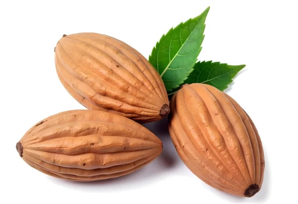 Pile Of Almonds With Green Leaves Close Up 9 E607