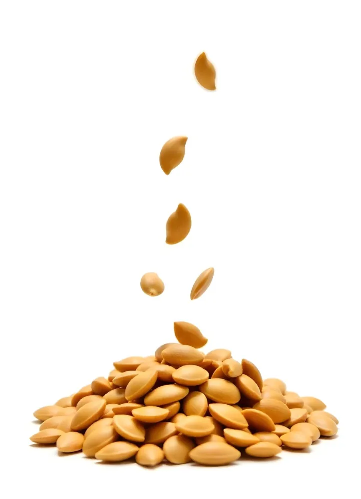 Pumpkin Seeds Falling Into A Pile Of Pumpkin Seeds Isolated On A White Background 6 9651