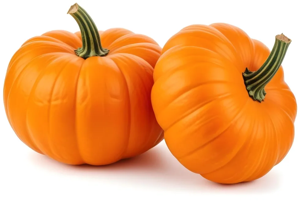 Two Large Orange Pumpkins On A White Background 13 8212