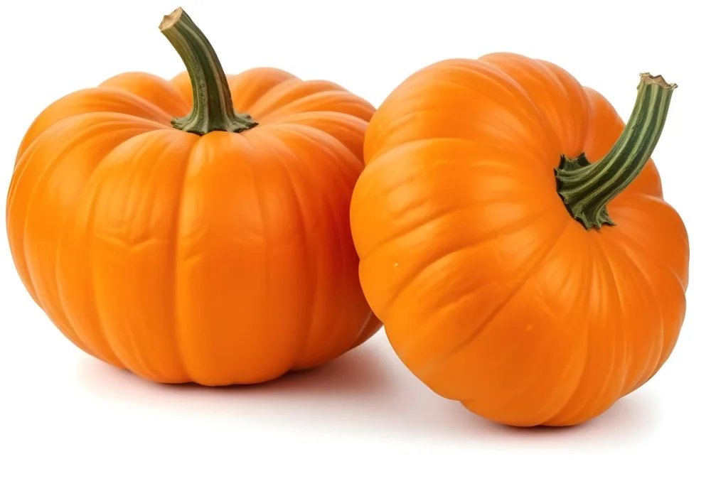 Two Large Orange Pumpkins On A White Background 15 47a7