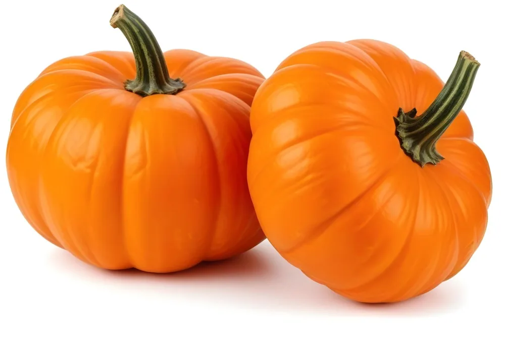 Two Large Orange Pumpkins On A White Background 9 0e3c