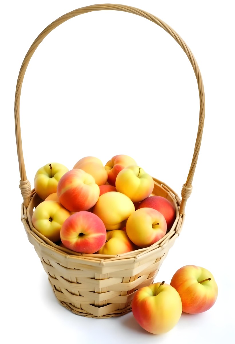 A Basket Full Of Peaches Some Peaches Are Yellow And Some Are Red With Red Spots In A White Background 12 2af5